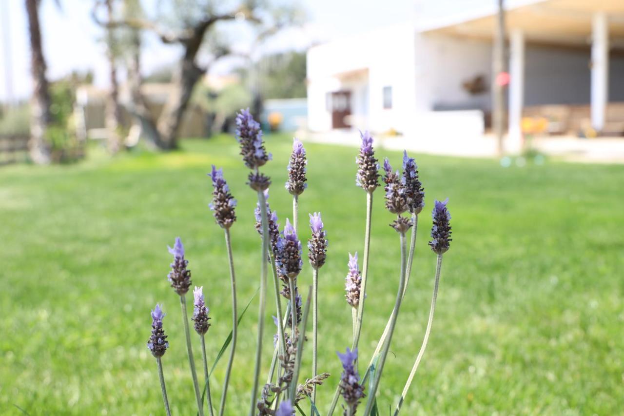 La Finestra Del Delta Vendégház L'Ampolla Kültér fotó