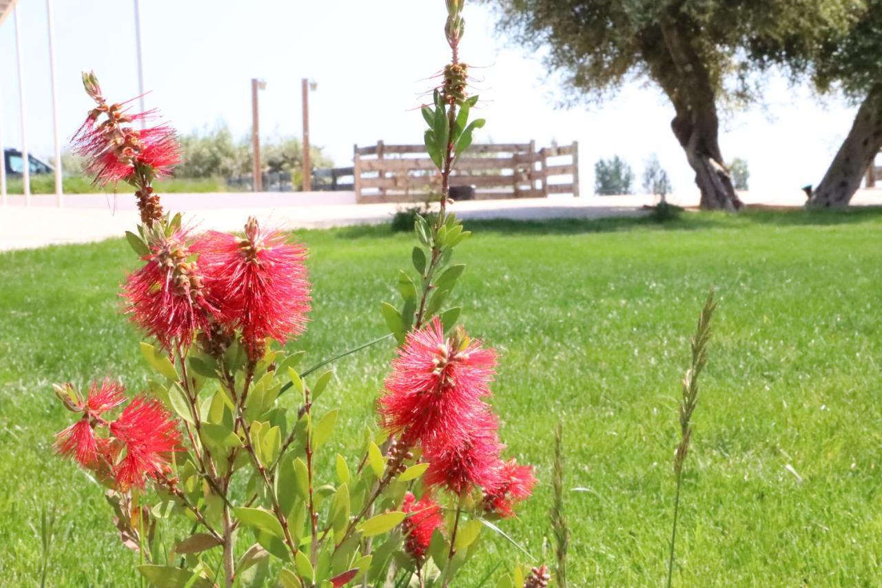 La Finestra Del Delta Vendégház L'Ampolla Kültér fotó