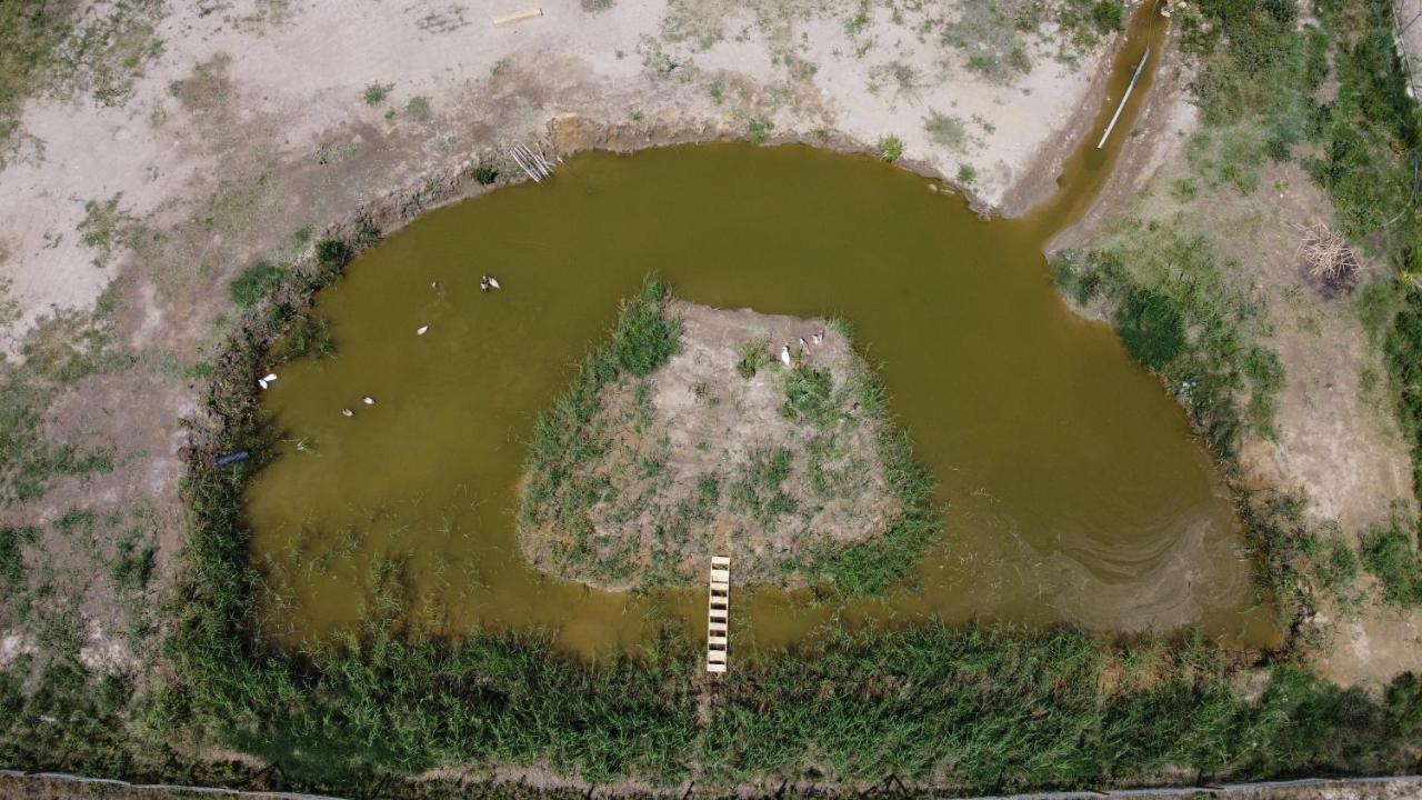 La Finestra Del Delta Vendégház L'Ampolla Kültér fotó